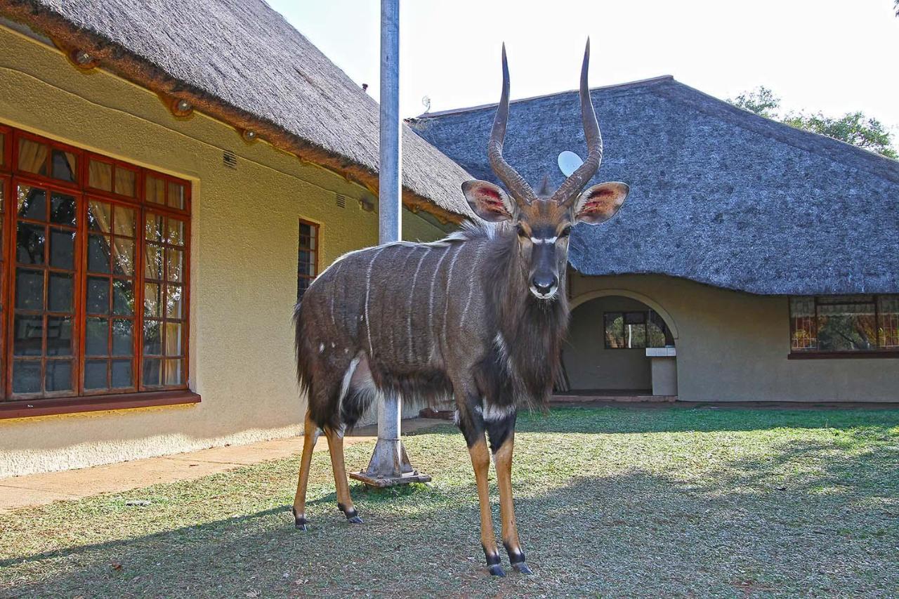 Willa Fish Eagle Guest Farm Phalaborwa Zewnętrze zdjęcie